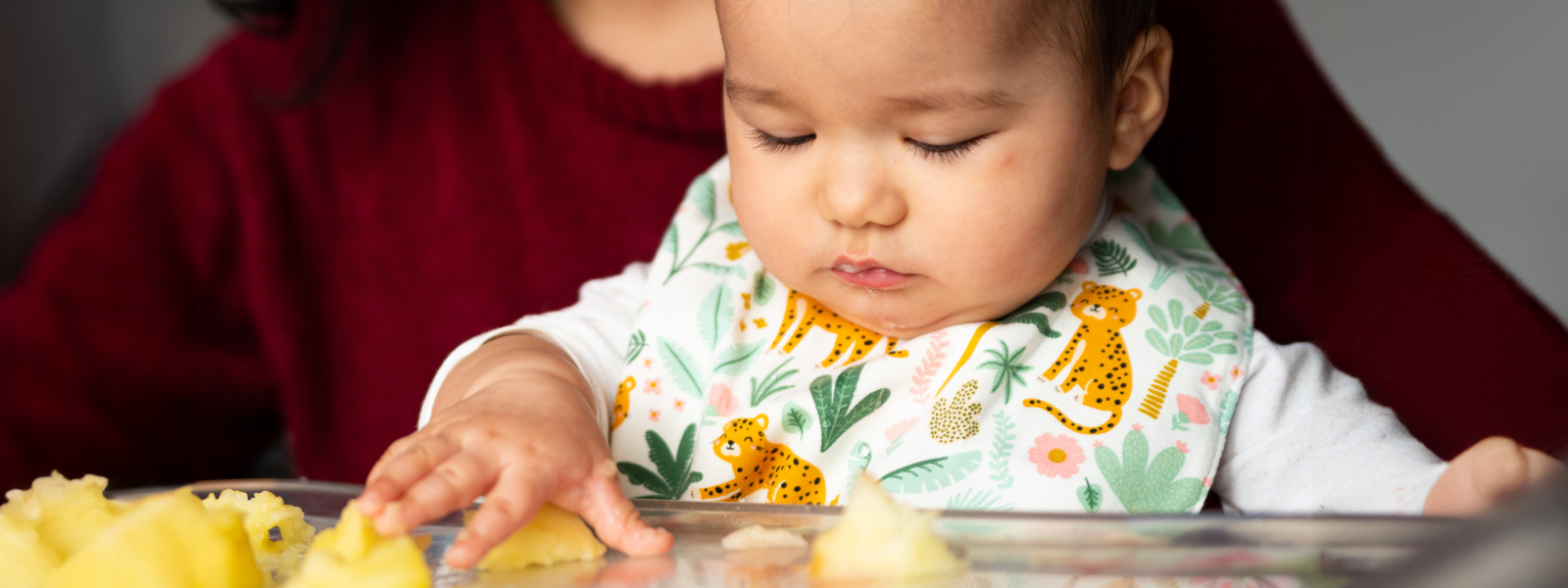 A Guide to Introducing Finger Foods