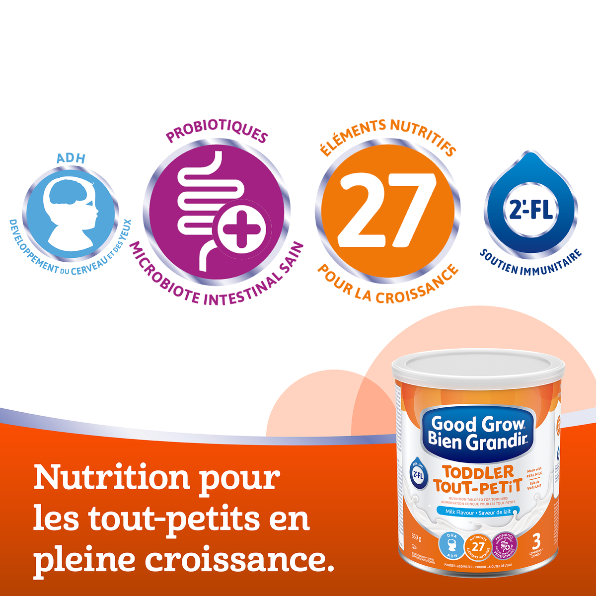 Diagramme des éléments nutritifs Bien Grandir.