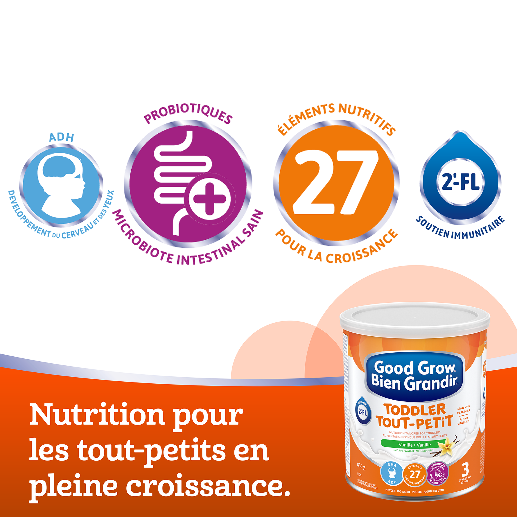 Graphique présentant les différentes variations de saveurs de Bien Grandir