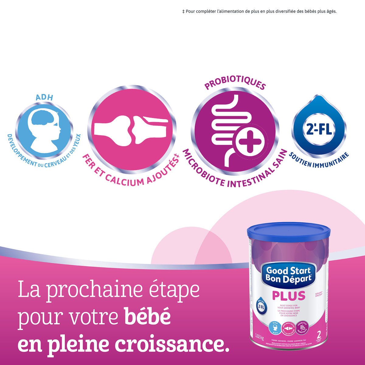 Diagramme présentant les différents nutriments contenus dans Bon DépartMD PLUS 2.
